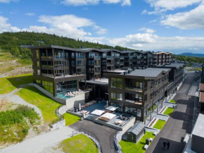Riddergaardens panorama Beitostølen